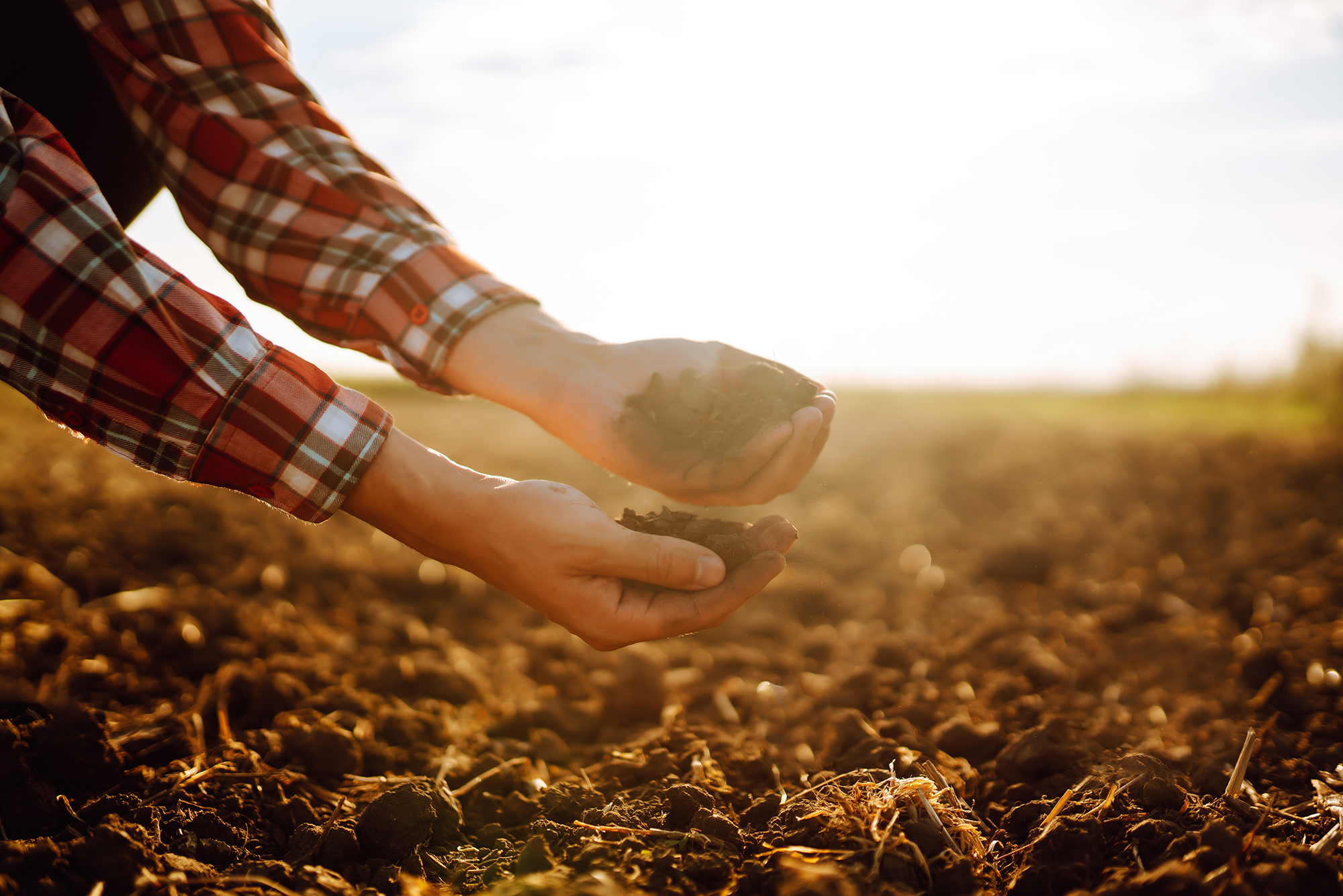 Soil-Based Organisms beneficial for health