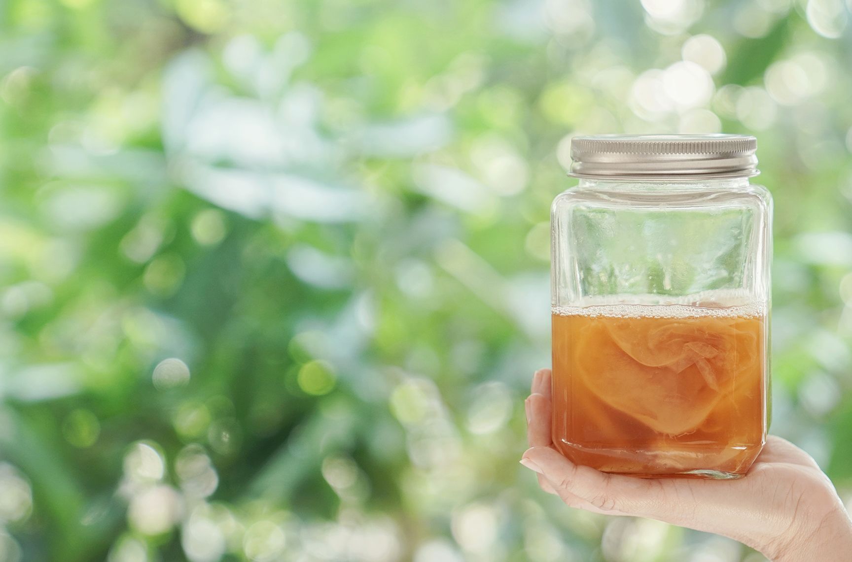 Kombucha Fermented tea, Probiotic food for gut health